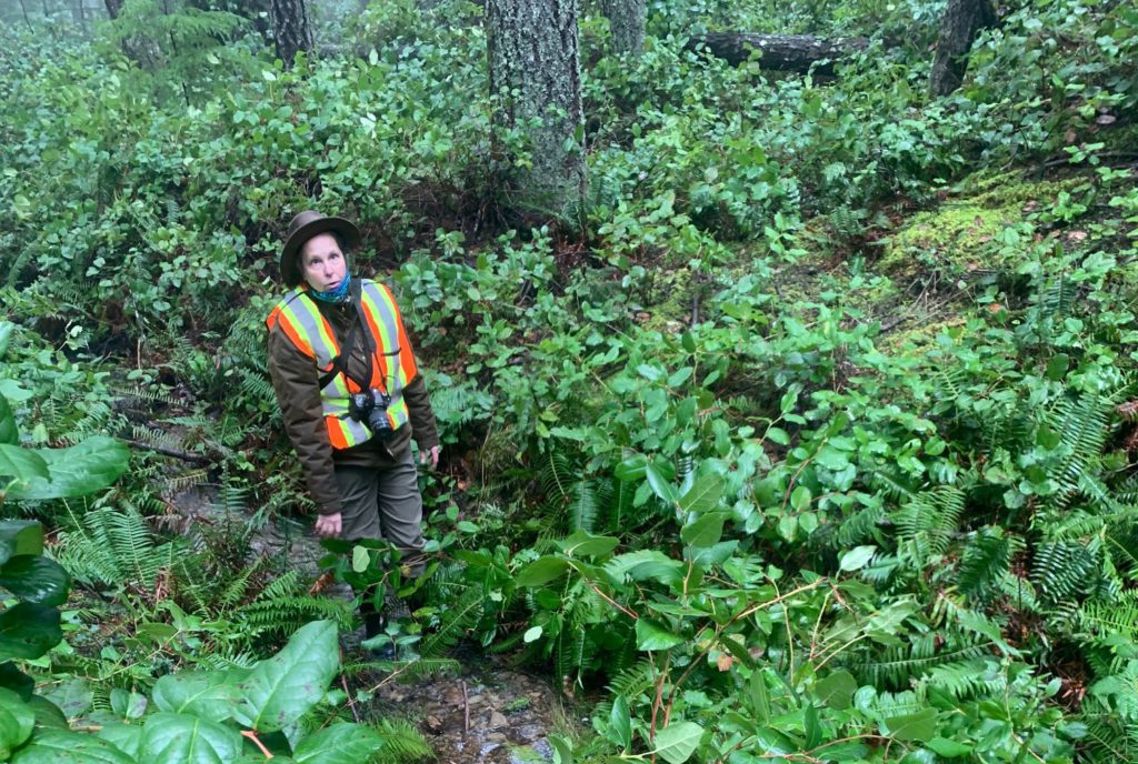 Sandra Ungerson (NSSWD Director and wetland expert)