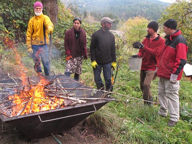 Biochar Working Group