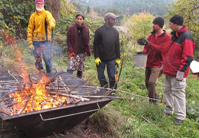 Biochar Working Group